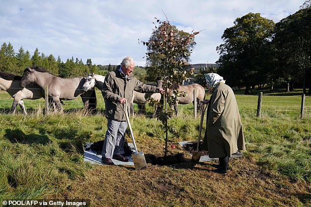 Королева и Чарльз начнут посадку деревьев в рамках проекта Queen's Green Canopy в Балморале в октябре 2021 года.